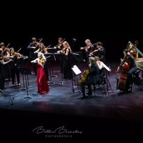 Orchestre de chambre de Toulouse