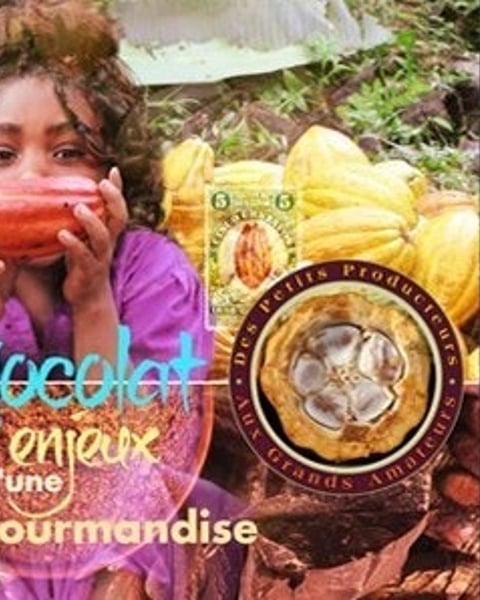 Chocolat, les enjeux d'une gourmandise