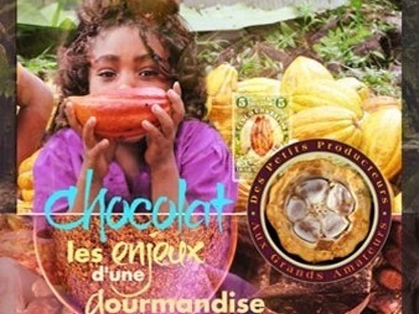Chocolat, les enjeux d'une gourmandise