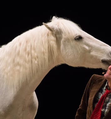 Spectacle équestre : La Méthode Bolino