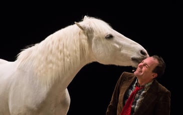 Spectacle équestre : La Méthode Bolino