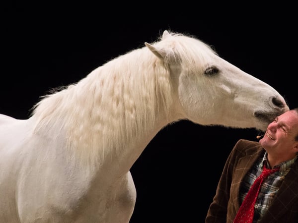 Spectacle équestre : La Méthode Bolino