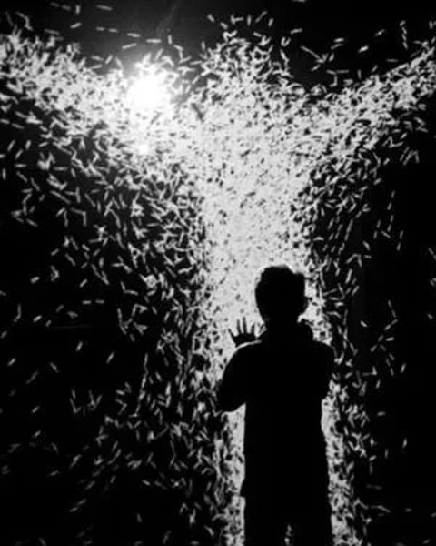 Expérience immersive : XYZT, les paysages abstraits