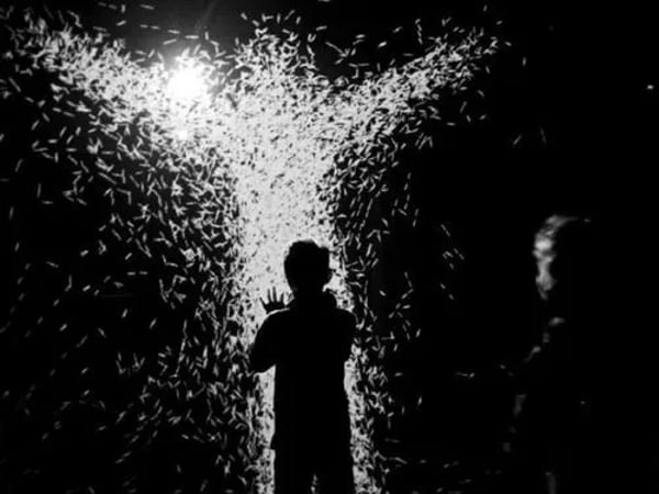 Expérience immersive : XYZT, les paysages abstraits