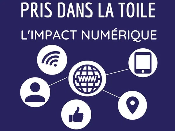 Pris dans la toile