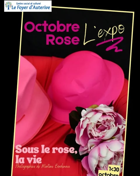 Exposition / Centre Social et Culturel le Foyer d'Auterive