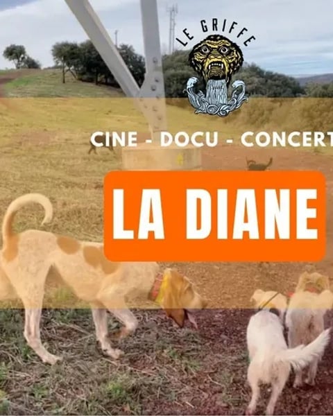 La Diane, Mon voisin est un chasseur