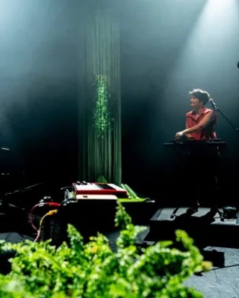 Forêts