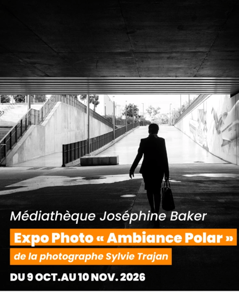 Ambiance polar, Sylvie Trajan