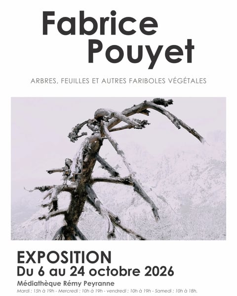 Arbres, feuilles et autres fariboles végétales