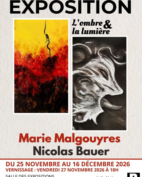 L’ombre et la lumière, M. MALGOUYRES, N. BAUER