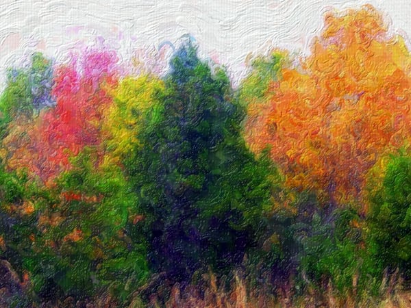 Exposition d’aquarelles par Rosine Foures