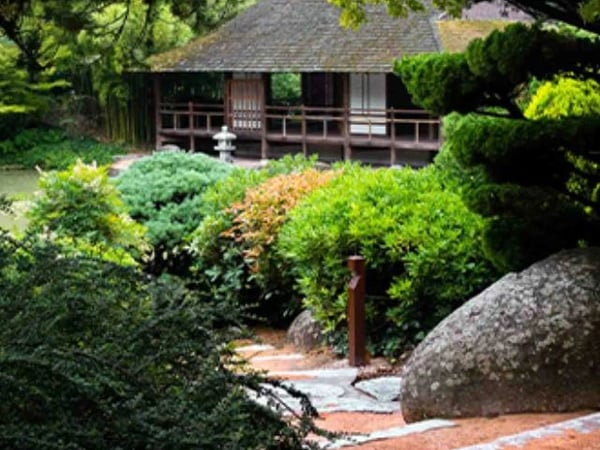 MIWA Festival