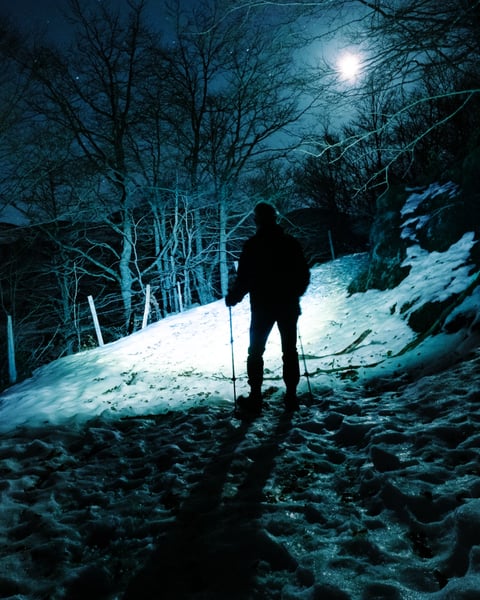 Dans nos silences