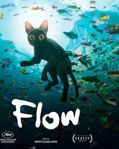 Ciné-concert : Flow avec Lenny Marsouin