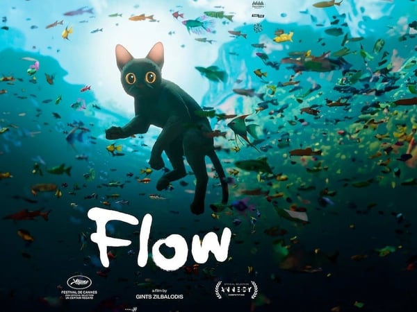 Ciné-concert : Flow avec Lenny Marsouin